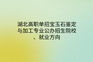 湖北高職單招寶玉石鑒定與加工專(zhuān)業(yè)公辦招生院校、就業(yè)方向