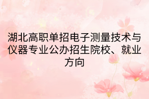 湖北高職單招電子測量技術與儀器專業(yè)公辦招生院校、就業(yè)方向