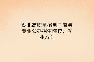 湖北高職單招電子商務(wù)專業(yè)公辦招生院校、就業(yè)方向