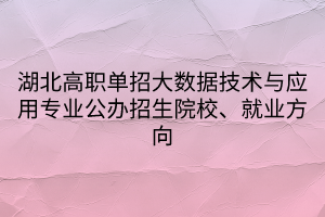 湖北高職單招大數(shù)據(jù)技術(shù)與應(yīng)用專(zhuān)業(yè)公辦招生院校、就業(yè)方向