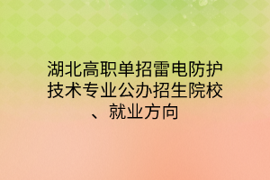 湖北高職單招雷電防護(hù)技術(shù)專(zhuān)業(yè)公辦招生院校、就業(yè)方向
