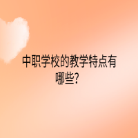 ?中職學校的教學特點有哪些？