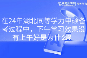 在24年湖北同等學力申碩備考過程中，下午學習效果沒有上午好是為什么？