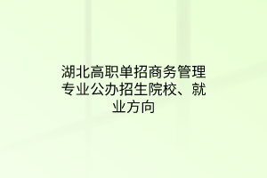 湖北高職單招商務(wù)管理專業(yè)公辦招生院校、就業(yè)方向