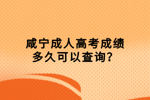 咸寧成人高考成績多久可以查詢？