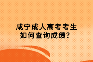 咸寧成人高考考生如何查詢成績？
