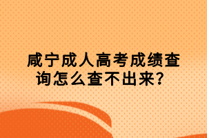 咸寧成人高考成績(jī)查詢(xún)?cè)趺床椴怀鰜?lái)？