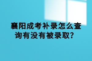 襄陽(yáng)成考補(bǔ)錄怎么查詢有沒(méi)有被錄??？