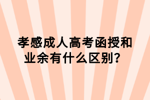 孝感成人高考函授和業(yè)余有什么區(qū)別？
