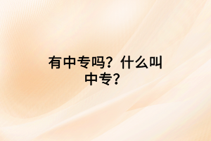 有中專嗎？什么叫中專？