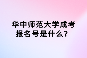 華中師范大學成考報名號是什么？