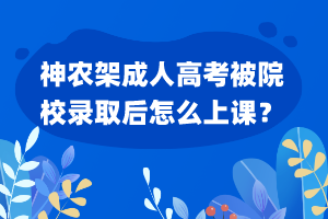 神農(nóng)架成人高考被院校錄取后怎么上課？