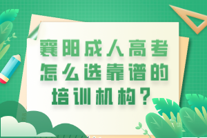 襄陽成人高考怎么選靠譜的培訓機構？