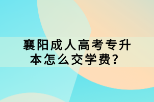 襄陽成人高考專升本怎么交學(xué)費(fèi)？
