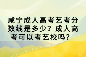 咸寧成人高考藝考分?jǐn)?shù)線是多少？成人高考可以考藝校嗎？