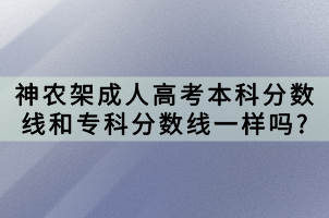 神農(nóng)架成人高考本科分?jǐn)?shù)線和專(zhuān)科分?jǐn)?shù)線一樣嗎_