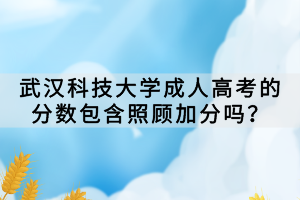 武漢科技大學(xué)成人高考的分數(shù)包含照顧加分嗎？