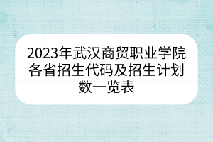 2023年武漢商貿職業(yè)學院各省招生代碼及招生計劃數一覽表