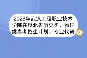 2023年武漢工程職業(yè)技術(shù)學(xué)院在湖北省歷史類、物理類高考招生計(jì)劃、專業(yè)代碼