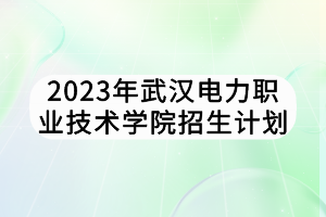 2023年武漢電力職業(yè)技術(shù)學(xué)院招生計劃