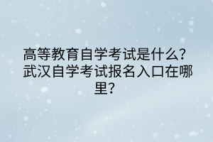 高等教育自學(xué)考試是什么？武漢自學(xué)考試報(bào)名入口在哪里？