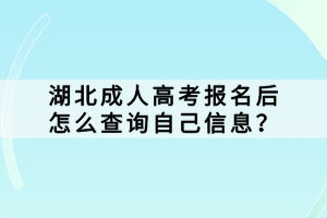 湖北成人高考報(bào)名后怎么查詢自己信息？