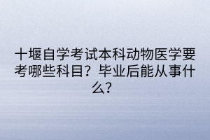 十堰自學(xué)考試本科動(dòng)物醫(yī)學(xué)要考哪些科目？畢業(yè)后能從事什么？
