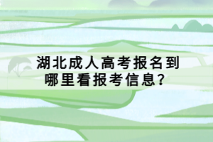 湖北成人高考報名到哪里看報考信息？