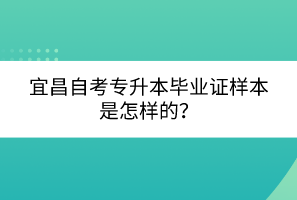 宜昌自考專升本畢業(yè)證樣本是怎樣的？
