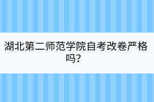 湖北第二師范學(xué)院自考改卷嚴(yán)格嗎？