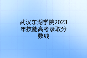 武漢東湖學(xué)院2023年技能高考錄取分?jǐn)?shù)線(xiàn)