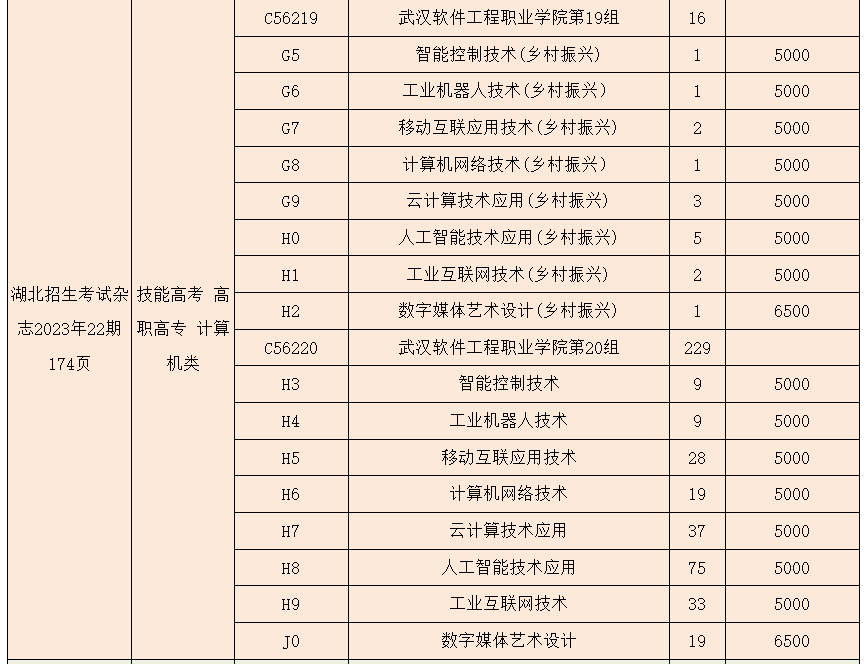 2023年武漢軟件工程職業(yè)學(xué)院湖北技能高考、藝術(shù)類、體育類志愿填報(bào)指南