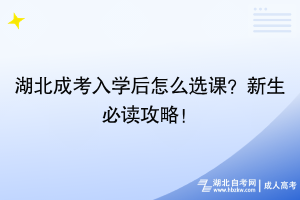 湖北成考入學(xué)后怎么選課？新生必讀攻略！