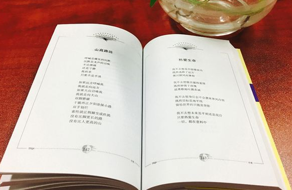 2020年成人高考專升本大學語文練習題及答案6