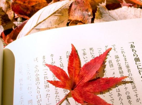 2020年成人高考物理單項(xiàng)選擇題練習(xí)匯總