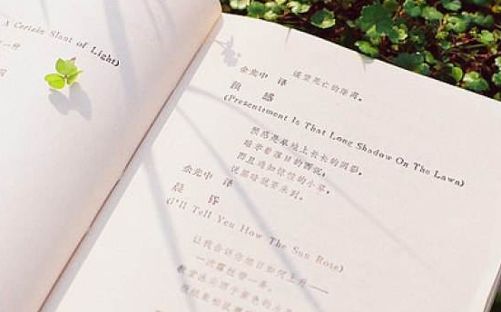 成人高考專升本藝術(shù)概論常考知識(shí)點(diǎn)歸納2：藝術(shù)鑒賞
