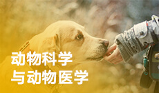 華中農(nóng)業(yè)大學自考動物醫(yī)學本科(090401)專業(yè)介紹及課程設置