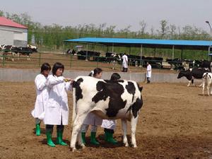 華中農(nóng)業(yè)大學自考畜牧獸醫(yī)?？?510301)專業(yè)介紹及課程設置