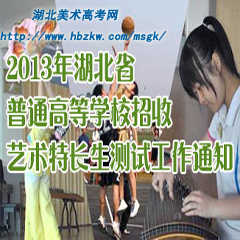 2013年湖北學(xué)校招收藝術(shù)特長生測試工作公告