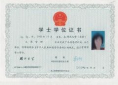 湖北大學自考本科學位證書樣本