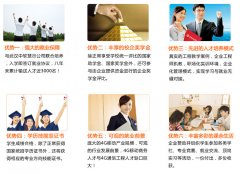仙桃職業(yè)學院校企合作特色專業(yè)