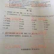 2015年湖北成人高考高起點英語試題(網(wǎng)友版)