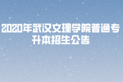2020年武漢文理學院普通專升本招生公告