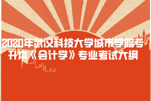 2020年武漢科技大學(xué)城市學(xué)院專升本《會計(jì)學(xué)》專業(yè)考試大綱