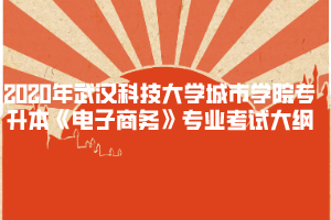 2020年武漢科技大學城市學院專升本《電子商務》專業(yè)考試大綱