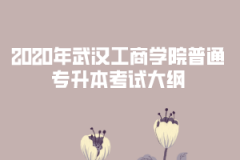 2020年武漢工商學院普通專升本考試大綱匯總