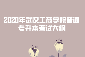 2020年武漢工商學(xué)院專(zhuān)升本《經(jīng)濟(jì)學(xué)》考試大綱