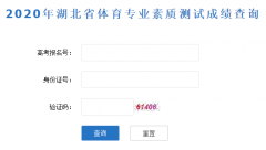 2020年湖北體育專業(yè)素質(zhì)測(cè)試成績查詢?nèi)肟诎l(fā)布說明
