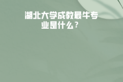 湖北大學(xué)成教最牛專業(yè)是什么？