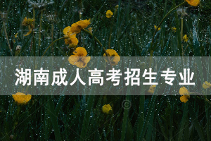 湖南大學(xué)成人高考招生專業(yè)有哪些？